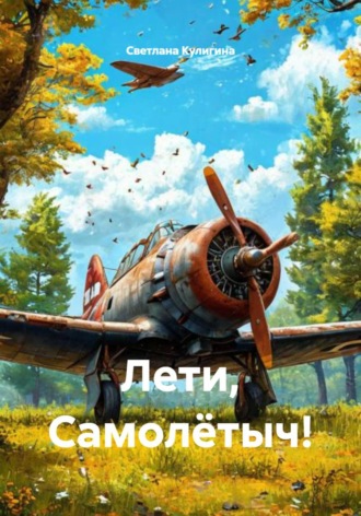 . Лети, Самолётыч!
