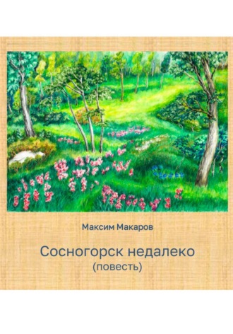 Максим Сергеевич Макаров. Сосногорск недалеко