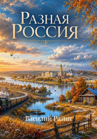 Василий Разин. Разная Россия