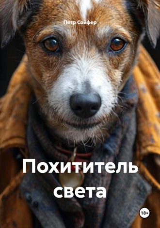 Петр Сойфер. Похититель света