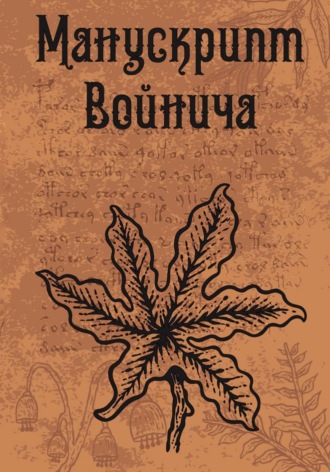 Автор Неизвестен. Манускрипт Войнича