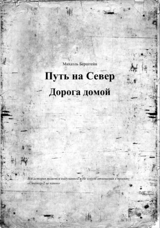 Михаэль Берштейн. Путь на север, дорога домой