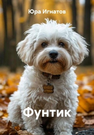 . Фунтик