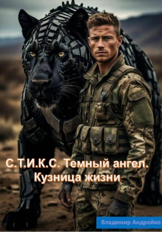 Владимир Андрейко. C.Т.И.К.С. Темный ангел. Кузница жизни