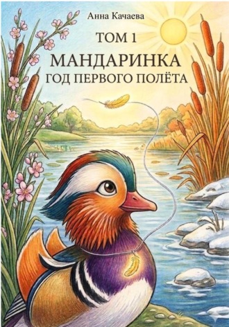 Анна Качаева. Мандаринка. Год первого полёта. Том 1