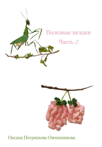 Оксана Петряшова-Овчинникова. Полезные загадки. Часть 2