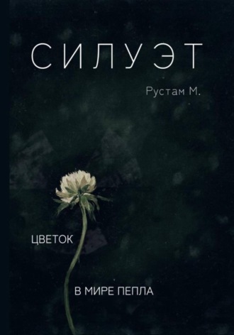 . Силуэт