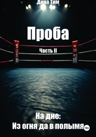 Дина Тим. Проба. Часть II. На дне: из огня да в полымя
