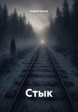 Андрей Шулов. Стык