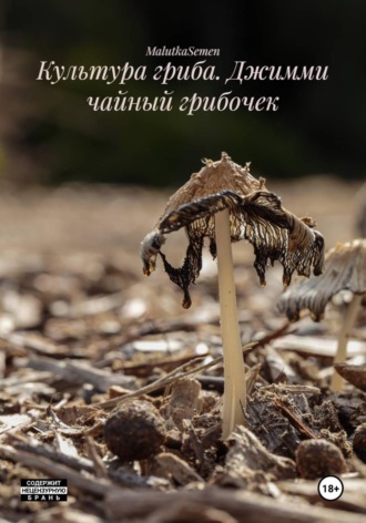 MalutkaSemen. Культура гриба. Джимми чайный грибочек