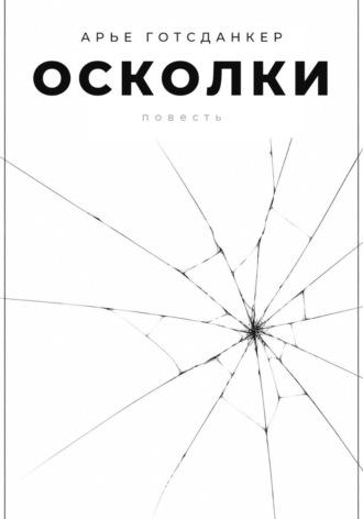 Арье Готсданкер. Осколки