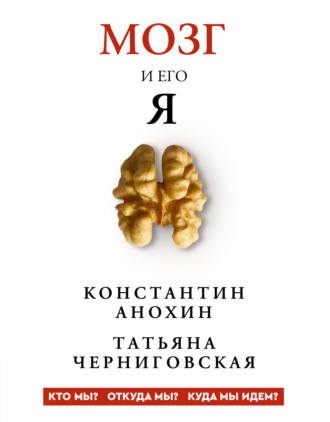 . Мозг и его «Я». Кто мы? Откуда мы? Куда мы идем?