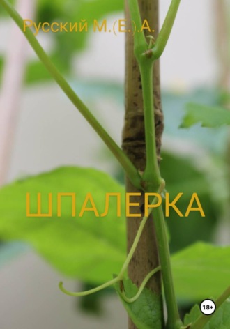 Марат Алексеевич Русский. Шпалерка