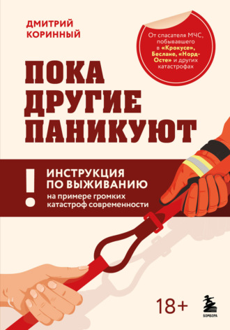 Дмитрий Коринный. Пока другие паникуют. Инструкция по выживанию на примере громких катастроф современности