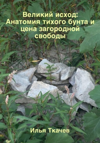 Илья Ткачев. Великий исход: Анатомия тихого бунта и цена загородной свободы