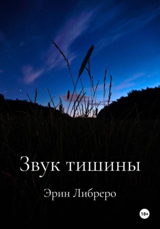. Звук тишины