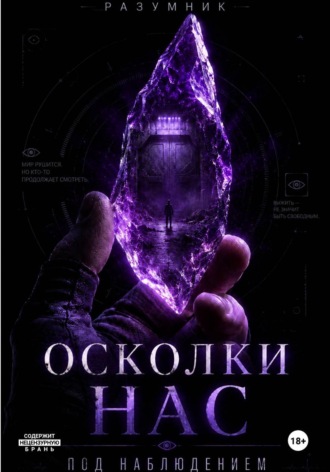Разумник М. Осколки нас. Под наблюдением. Том 1