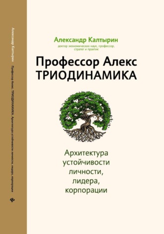. Профессор Алекс. Триодинамика. Архитектура устойчивости личности, лидера и корпорации