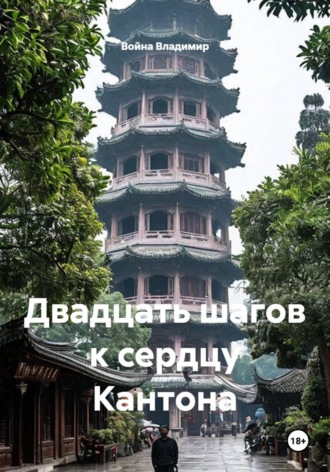 Война Владимир. Двадцать шагов к сердцу Кантона
