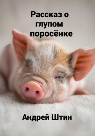 Андрей Штин. Рассказ о глупом поросёнке