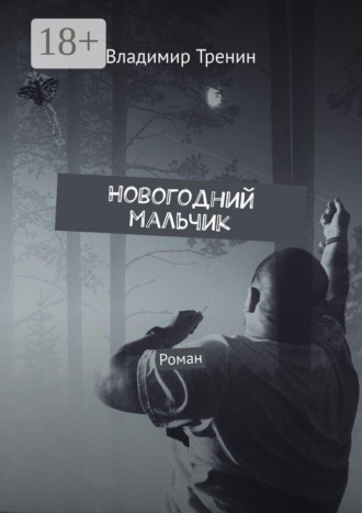 Владимир Тренин. Новогодний мальчик. Роман