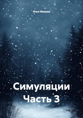 Илья Ивашев. Симуляции Часть 3