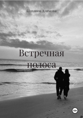 . Встречная полоса
