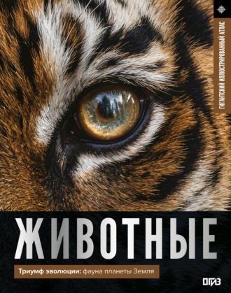 Д. Ю. Медведев. Животные. Иллюстрированный атлас