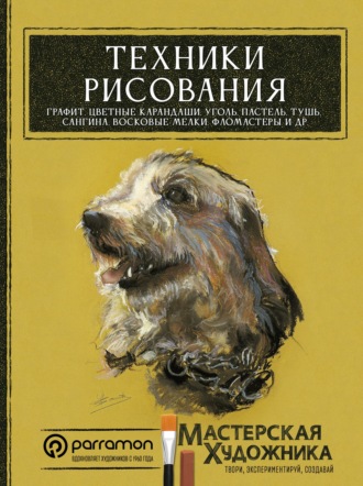 Давид Санмигель. Техники рисования. Графит, цветные карандаши, уголь, пастель, тушь, сангина, восковые мелки, фломастеры и др.