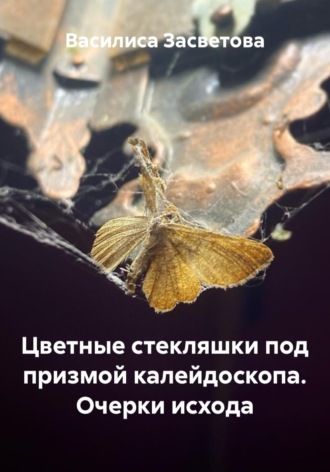 . Цветные стекляшки под призмой калейдоскопа. Очерки исхода