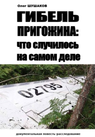 . Гибель Пригожина: что случилось на самом деле