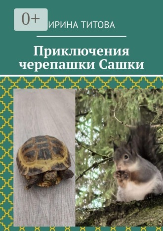 Ирина Титова. Приключения черепашки Сашки