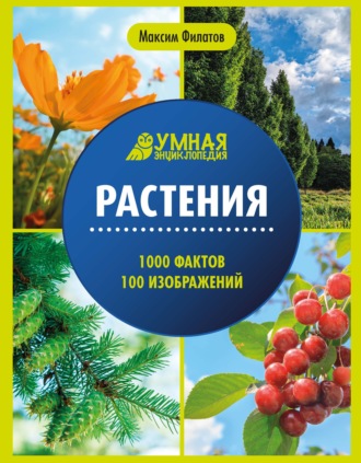 Максим Филатов. Растения