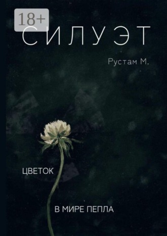 Рустам Магомедов. Силуэт. Цветок в мире пепла