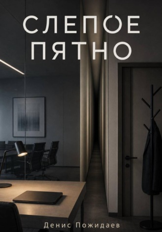 Денис Пожидаев. Слепое пятно