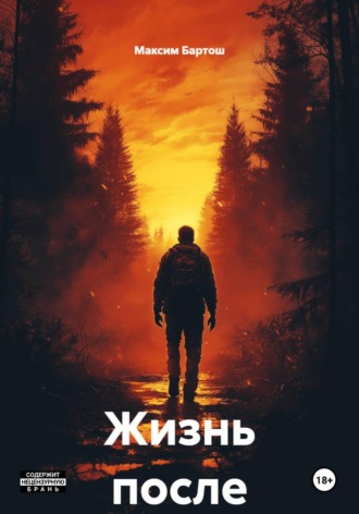 Максим Бартош. Жизнь после