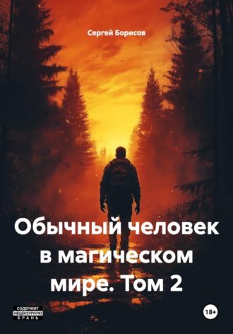 Сергей Борисов. Обычный человек в магическом мире. Том 2