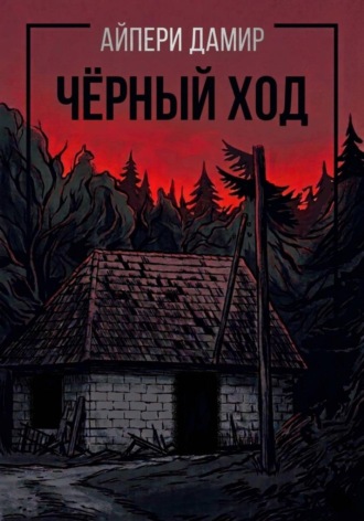 Айпери Дамир. Чёрный ход