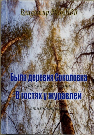 Владимир Рязанов. Была деревня Соколовка