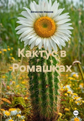 Вячеслав Иванов. Кактус в Ромашках