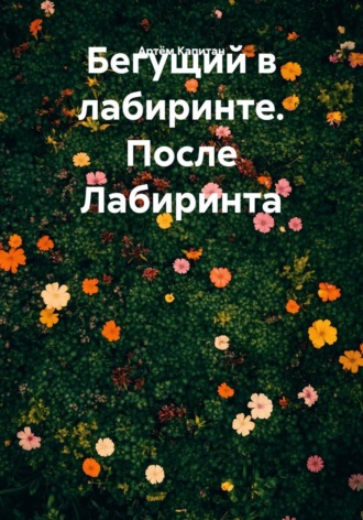 . Бегущий в лабиринте. После Лабиринта