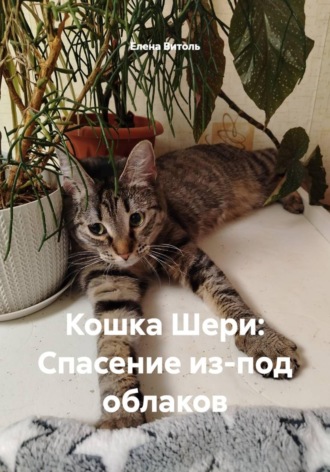 . Кошка Шери: Спасение из-под облаков