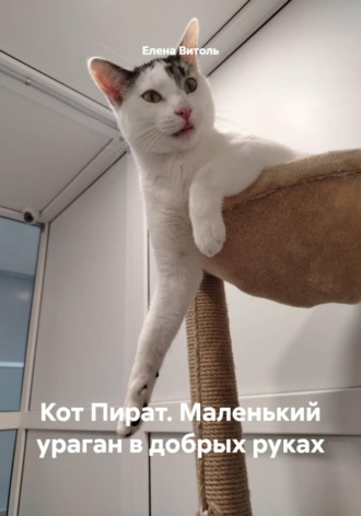 . Кот Пират. Маленький ураган в добрых руках