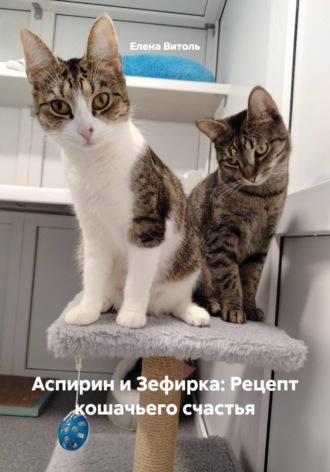 . Аспирин и Зефирка: Рецепт кошачьего счастья