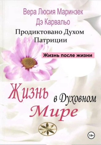 Вера Люсия Маринзек де Карвальо. Жизнь в Духовном Мире