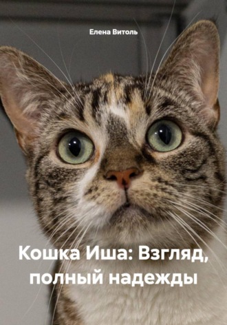 Елена Витоль. Кошка Иша: Взгляд, полный надежды