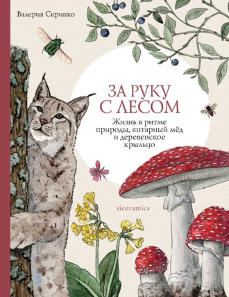 Валерия Скрипко. За руку с лесом. Жизнь в ритме природы, янтарный мёд и деревенское крыльцо
