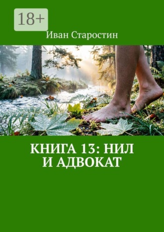 . Книга 13: Нил и адвокат