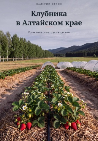 Валерий Орлов. Клубника в Алтайском крае. Практическое руководство
