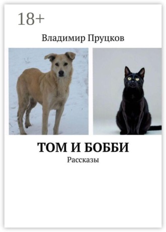 Владимир Пруцков. Том и Бобби. Рассказы